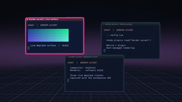 Shady headless capture of border-accent: Magenta border override on the focused window
