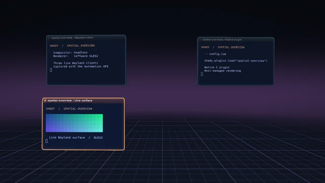 Shady headless capture of spatial-overview: Three windows in the 3D overview